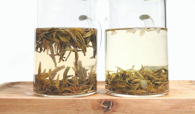 京派茉莉与川花飘雪的千里喜相逢,张一元龙毫与碧潭飘雪品味对比