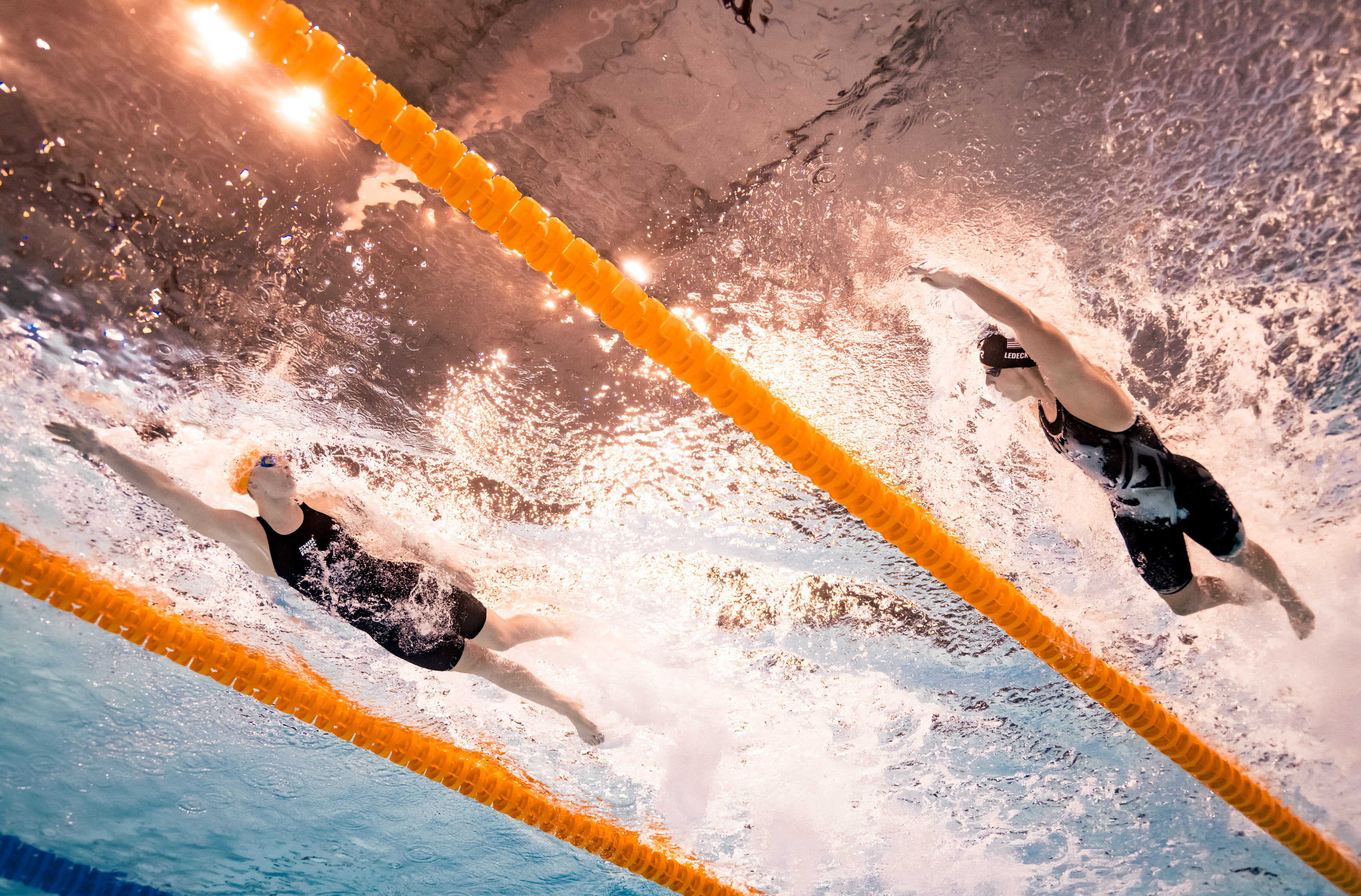 (游泳世锦赛)游泳