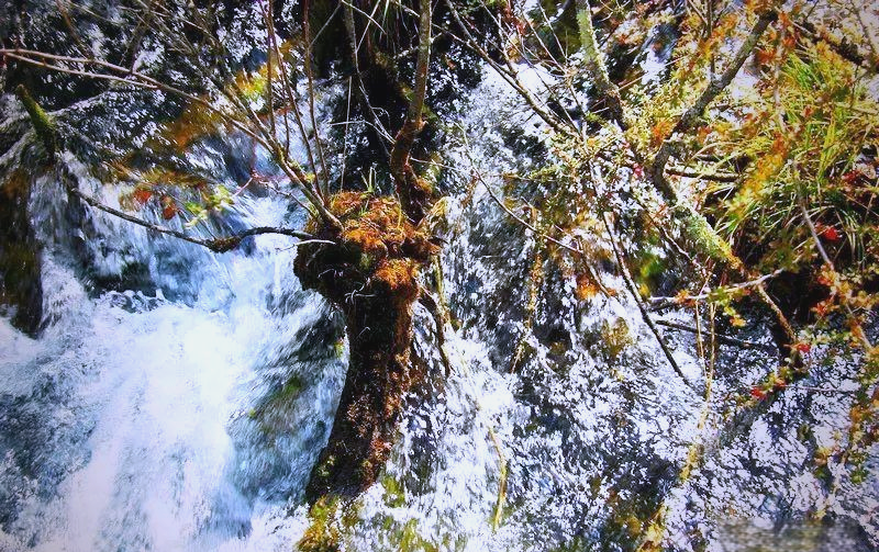 地震后的九寨沟:伤痕与警示