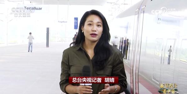 央视记者胡婧哪里人图片