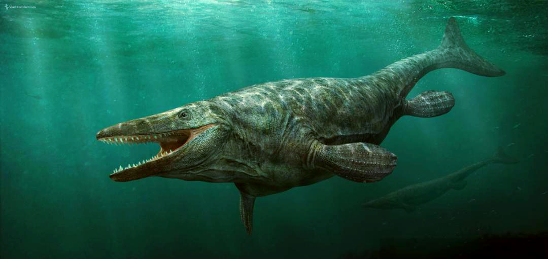 海王龙:与恐龙同期的海洋霸主,现已灭绝