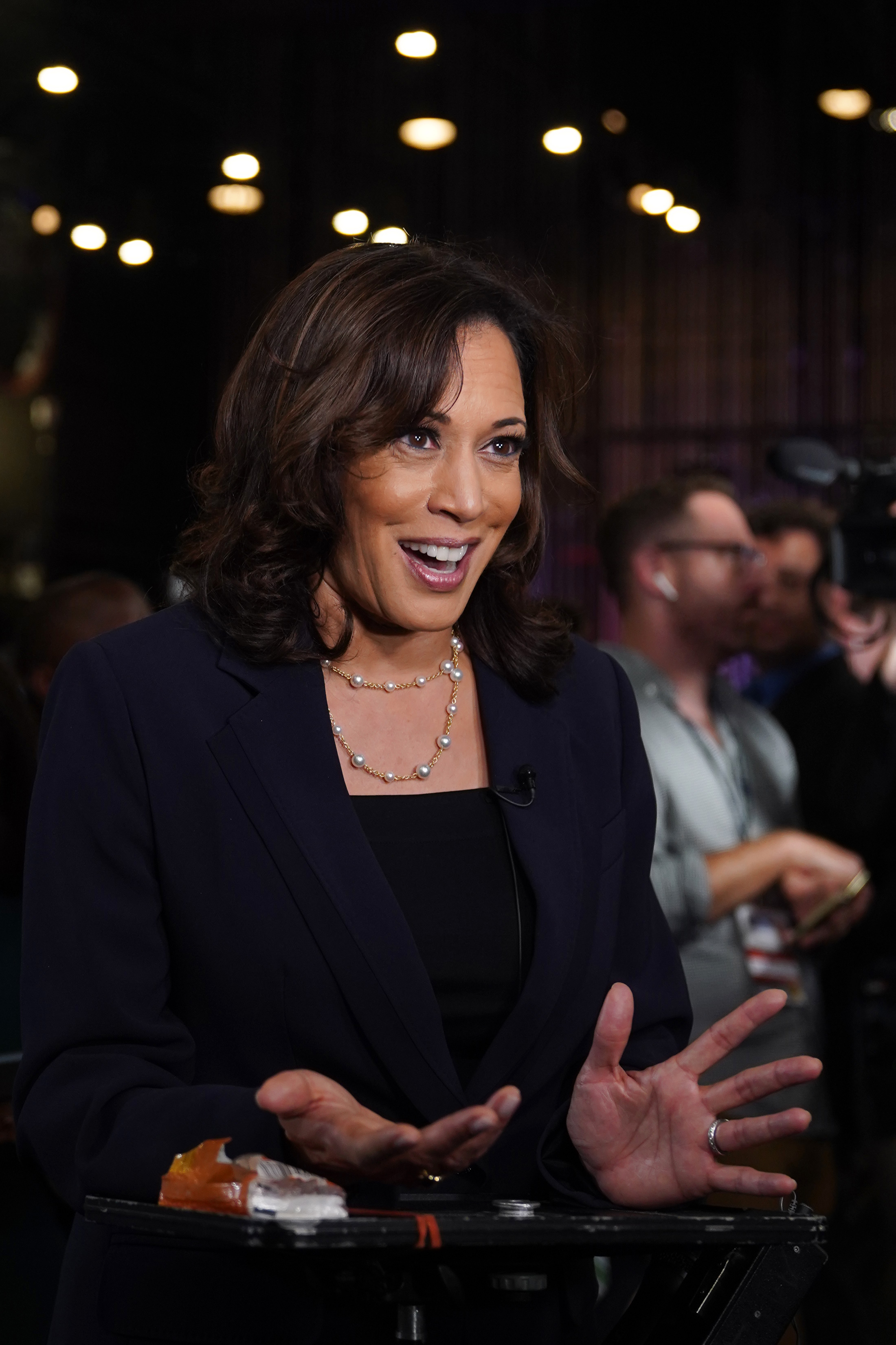 美副总统哈里斯:"俄罗斯政权更迭"不是美国的政策