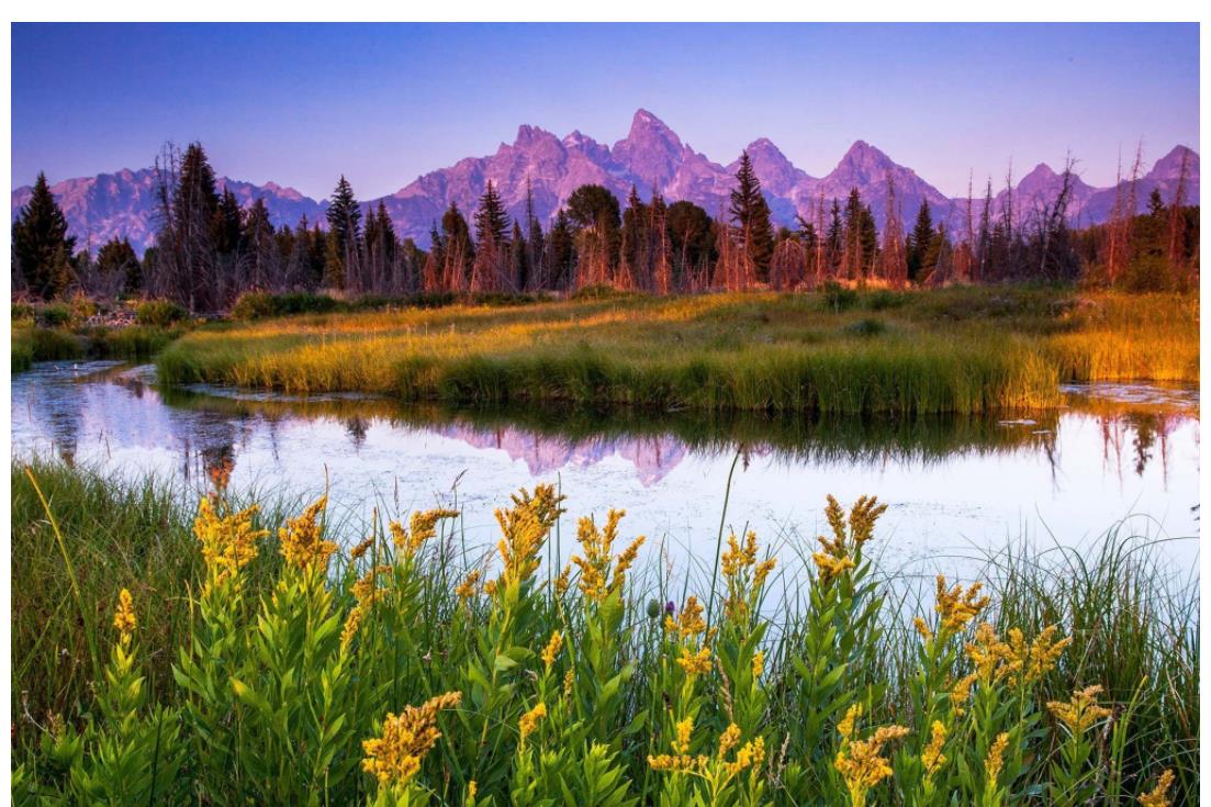 近期起好运爆发,事业更加顺遂,达成目标,聚财满贯的生肖