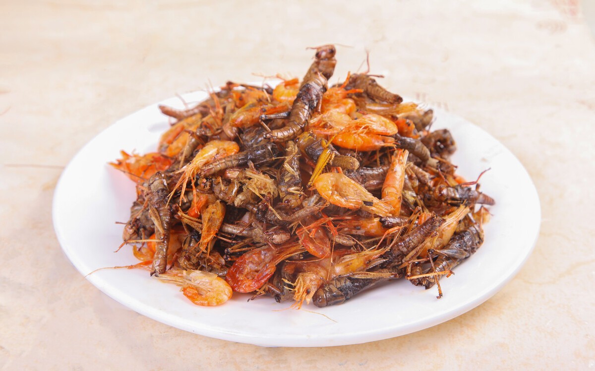 盘点那些被人们食用的昆虫,蝗虫营养且保健