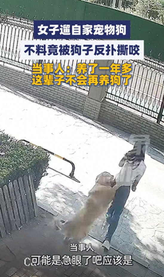 女子遛自家宠物狗,不料竟被狗子反扑撕咬,当事人:养了一年多,这辈子不