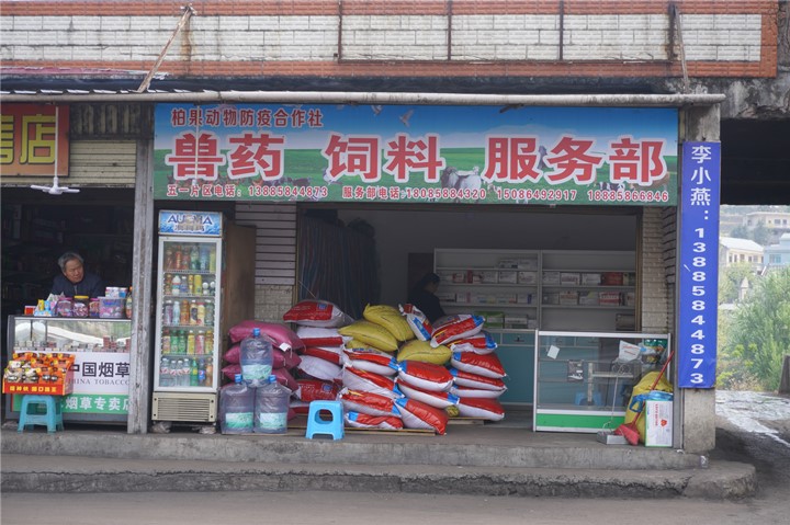 盘州市:兽医社会化服务提升动物疫病防控能力