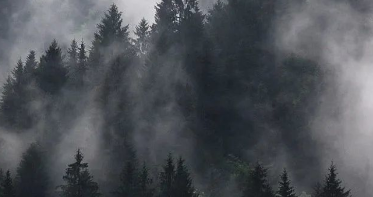 乐可的作者是谁?