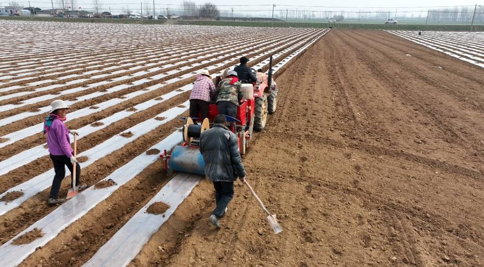 枣庄峄城区土豆种植热火朝天 演绎现代化春耕曲