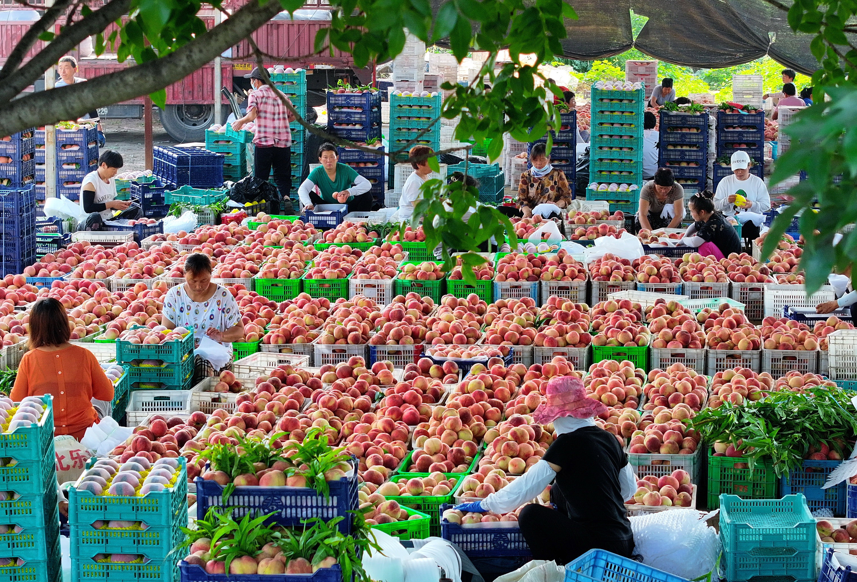 河北乐亭天气预报