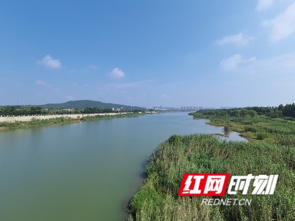 城市之"肾"|湘江巴溪洲:静卧江州 美不胜收