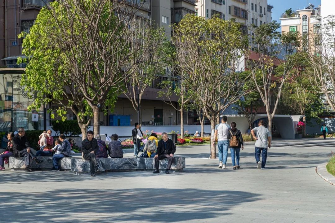 城市公共空间如何塑造蛇口公共生活丨城市空间专题