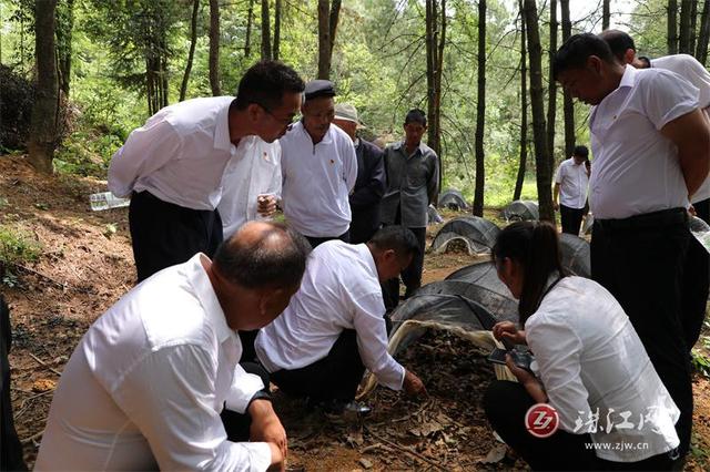 罗平县板桥镇飞机场图片