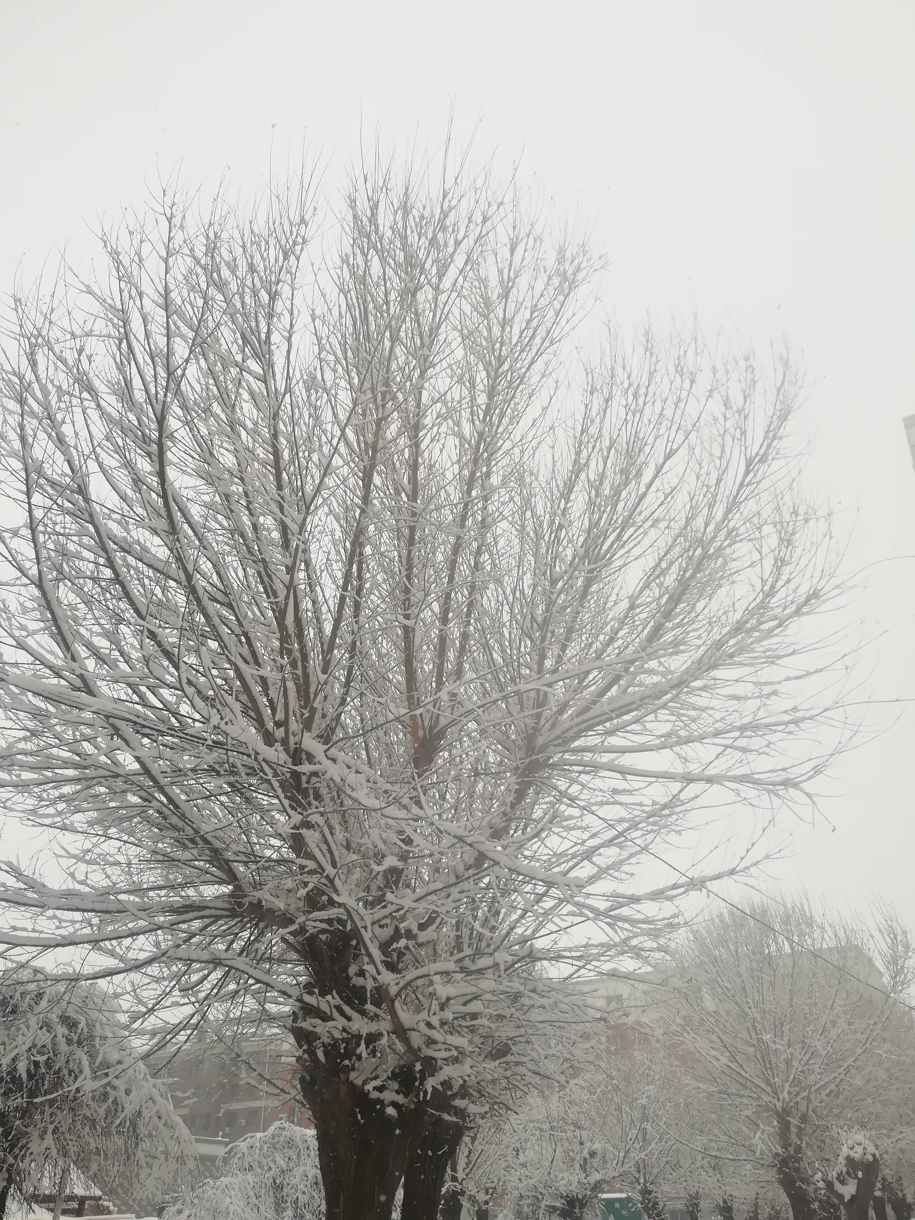 阜新雪景图片