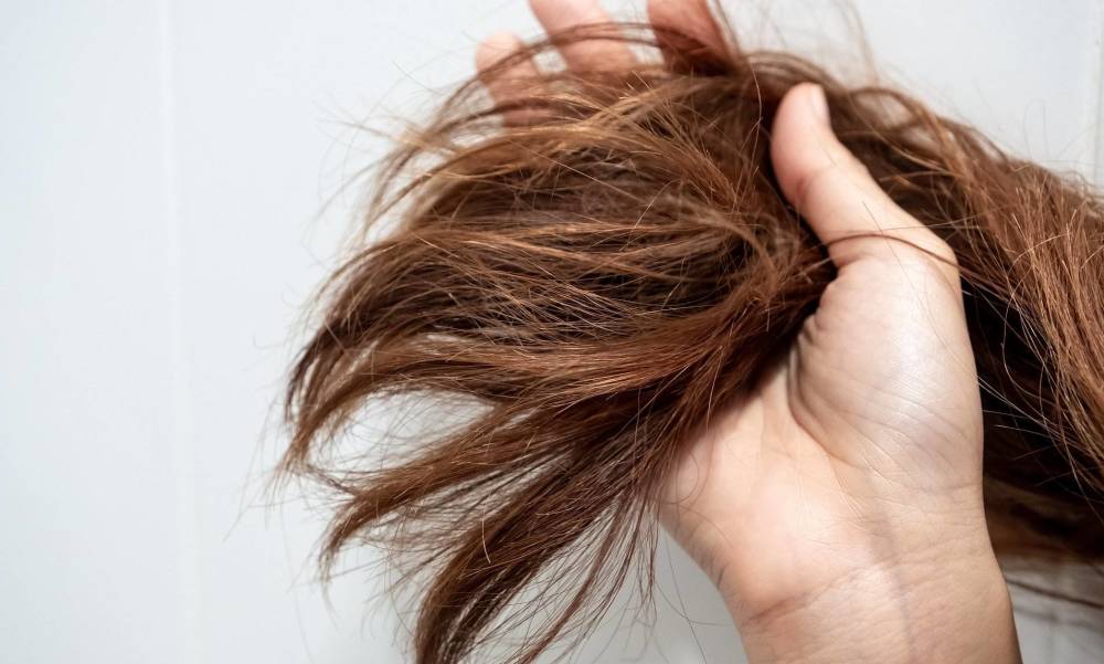 美于颜值,丑于发质!一分钟教你如何辨别自己的发质对症养护!