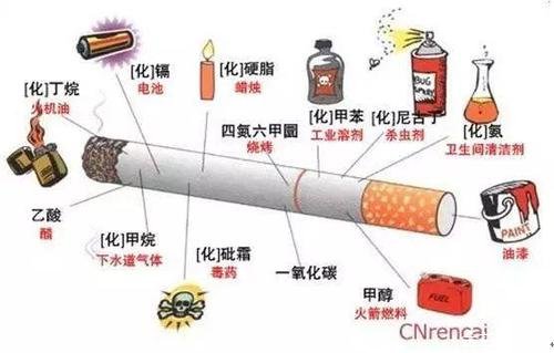 真烟烟雾中含有更多的有害物质