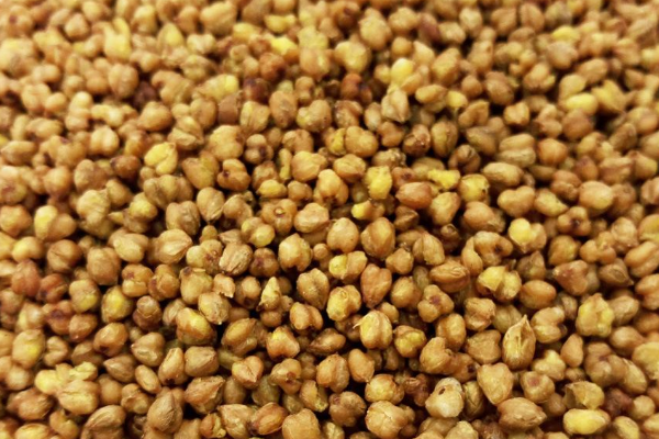 空腹可以喝苦芥茶吗?