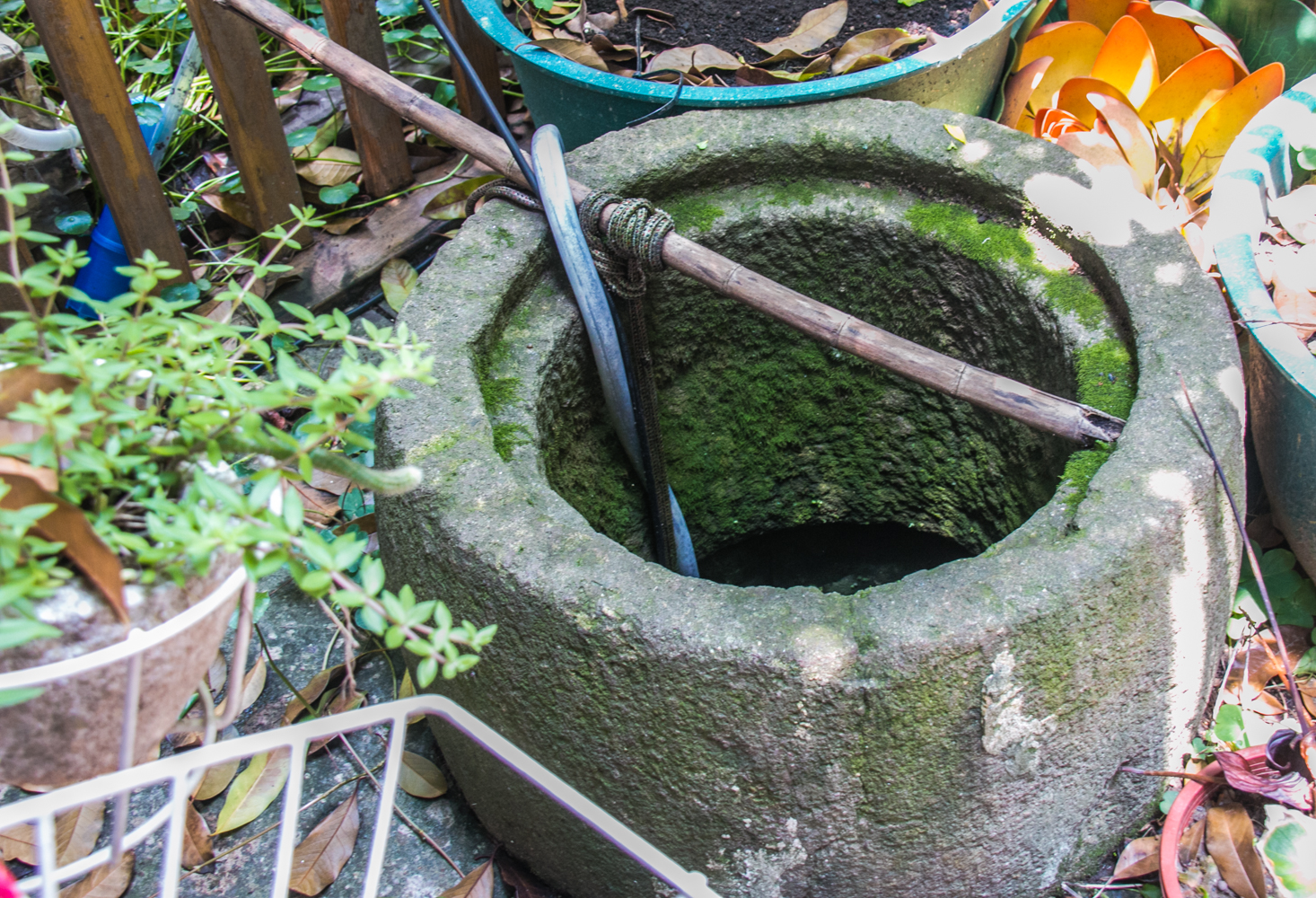 杭州小井巷里有一口千年古井,几经堙塞,如今已成废井