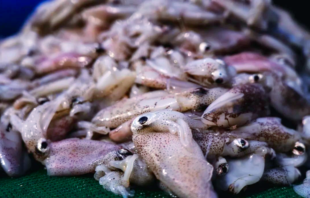 青岛西海岸海鲜烩饼:鲜味美食,吸引众多食客探访