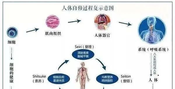 自愈是什么意思图片