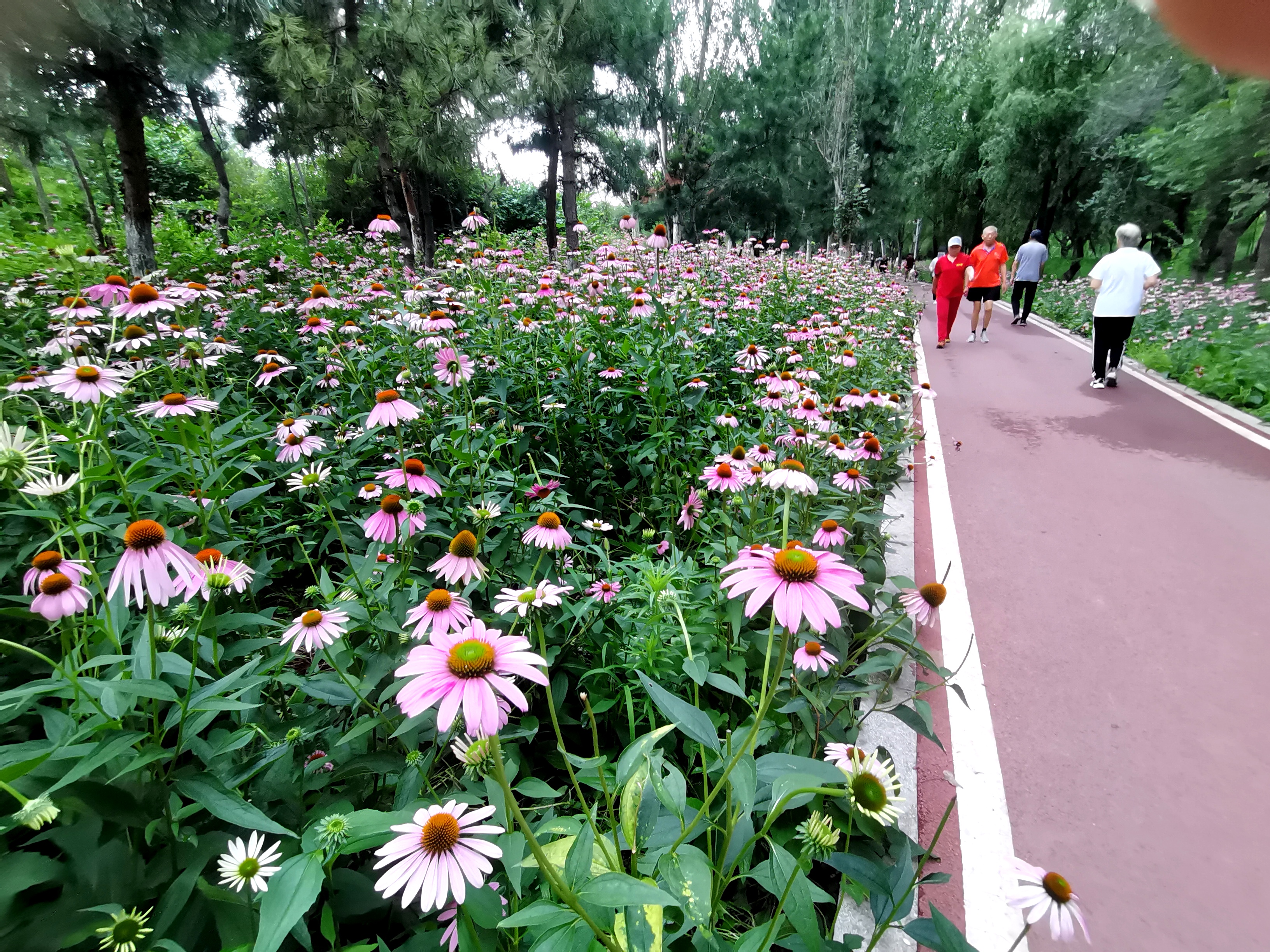 瀋陽北塔公園13景點美煞人