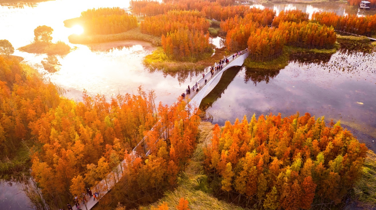 鱼尾洲湿地公园多大图片