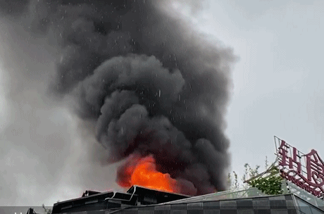 460_304gif 动态图 动图