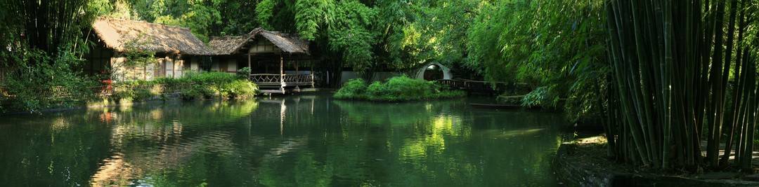 四川大学教授孙尚勇:相比文学,更珍贵的是杜甫身上的文化担当|名人大