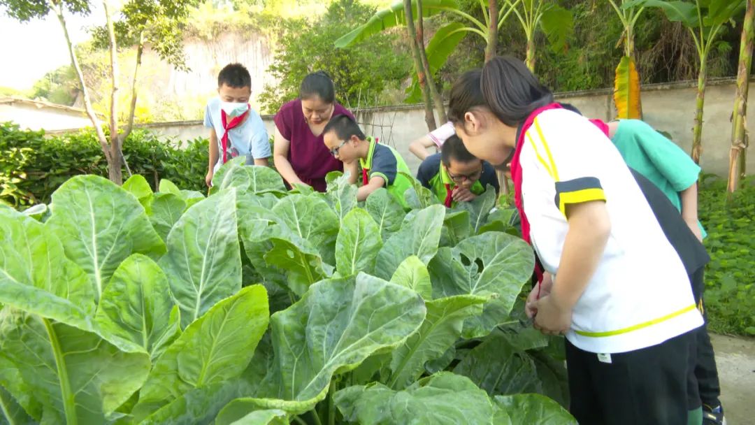 校(园)长有"新"声丨漳州市长泰区古农农场中心小学校长 林加添:我们都