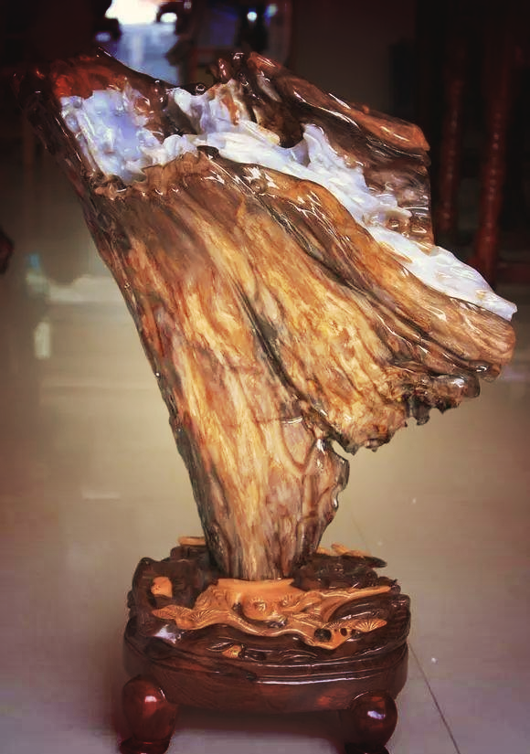 缅甸树化玉的奇幻世界:多样品种全揭秘