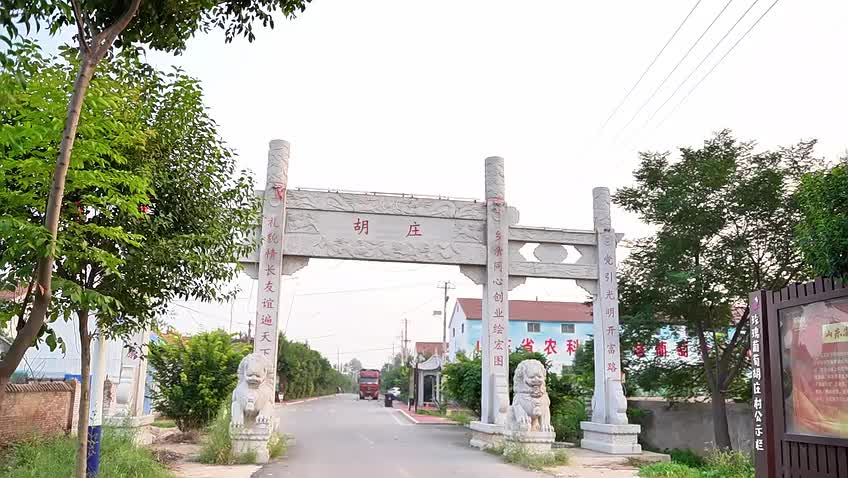 菏泽市郓城县唐庙镇胡庄村:葡萄香满园 采摘正当时