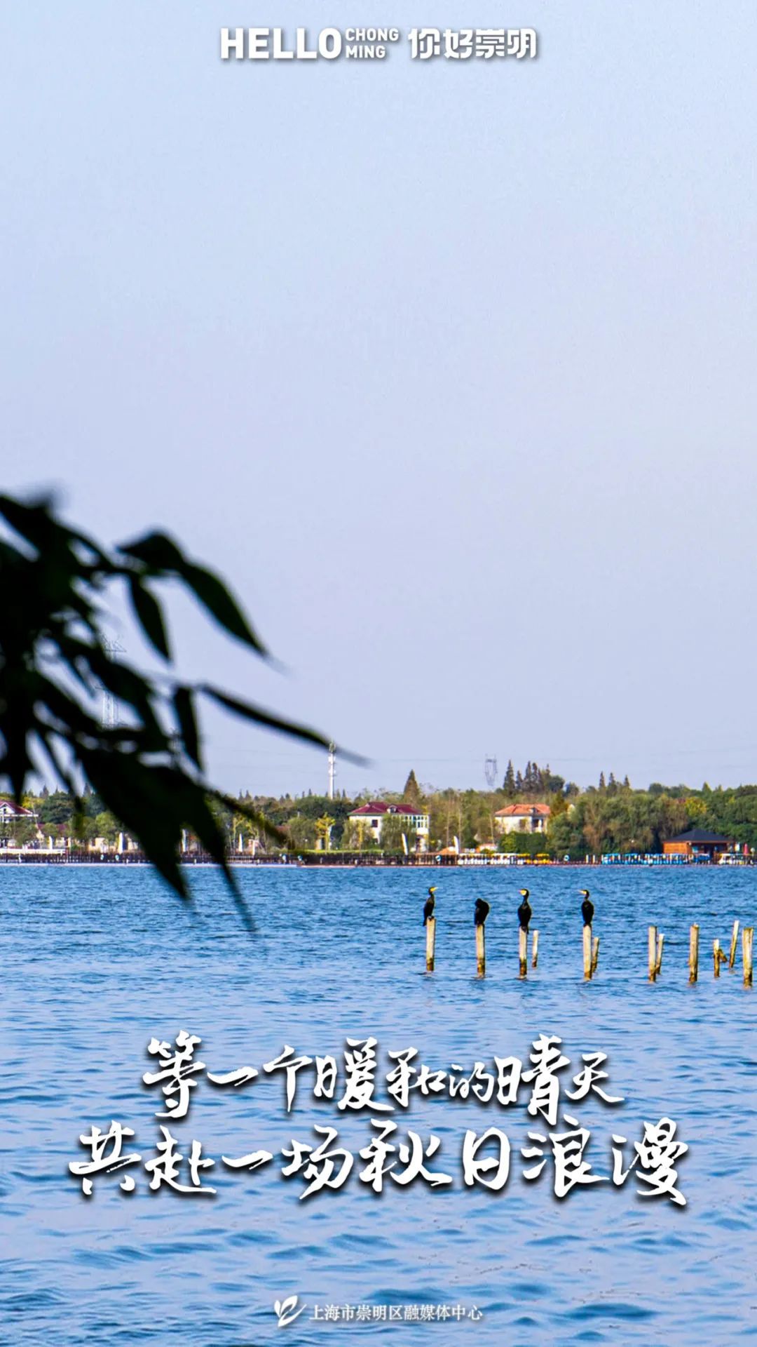 新村乡品牌好物联手走进上海大学生美食节