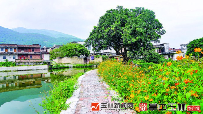 北流市民乐镇萝村:让文化符号迸发出更强大的光彩