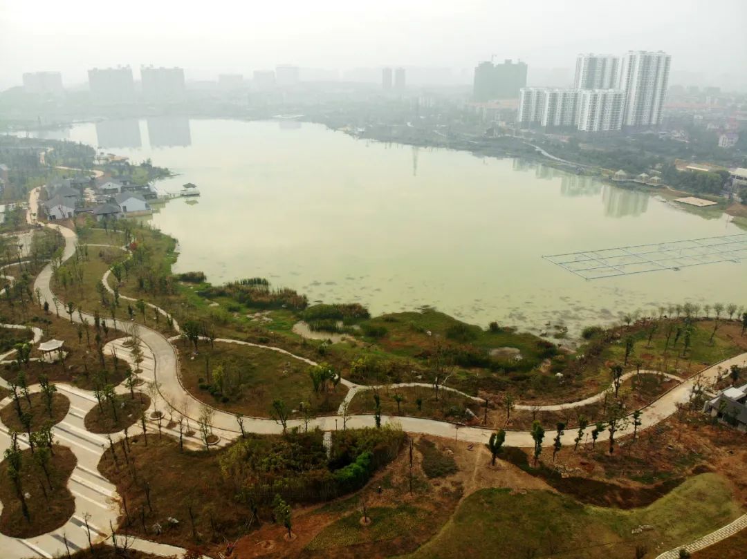 衡阳酃湖公园最新进度图片