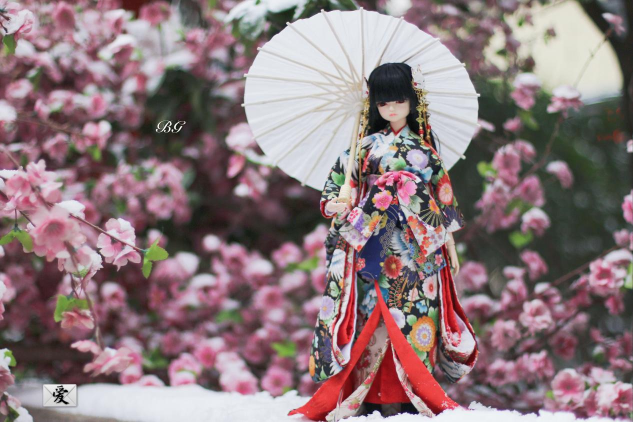bjd娃娃:日式和服的樱花妹娃娃,一把子心动住了!