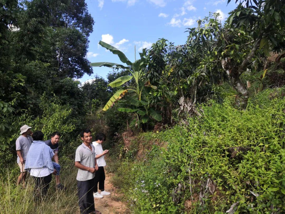 景谷凤山镇:"四有"策略推进"干部规划家乡行动"