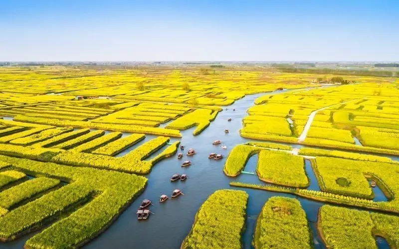 长江流域精品路书|千垛乡缘风光之旅