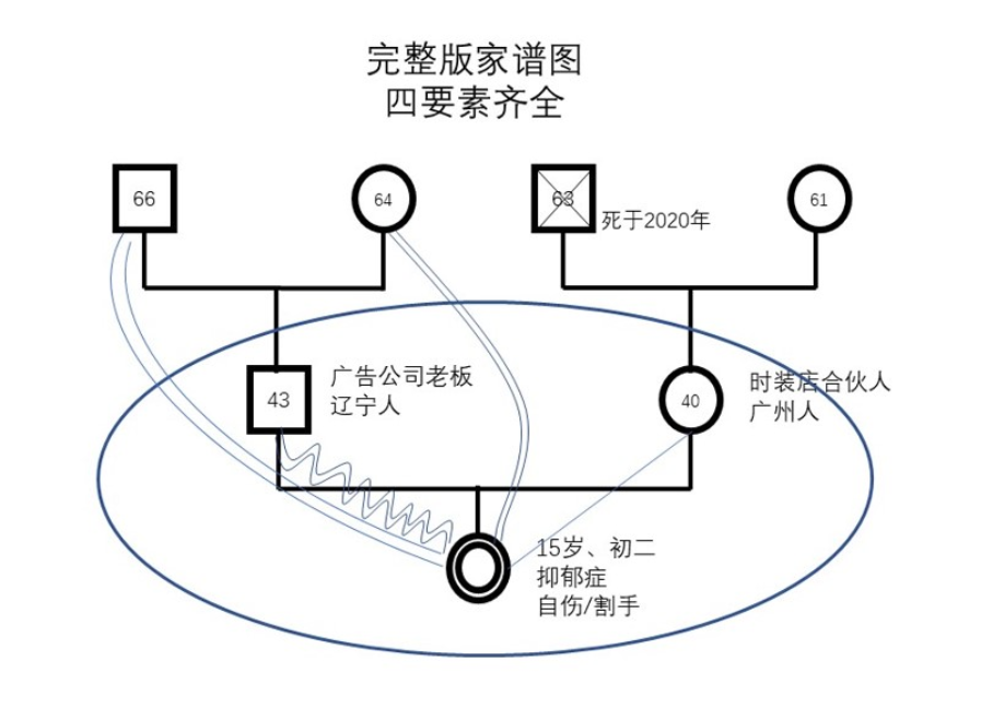 社工家庭系统图怎么画图片