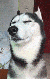 星空君才是第一个做空蔚来的