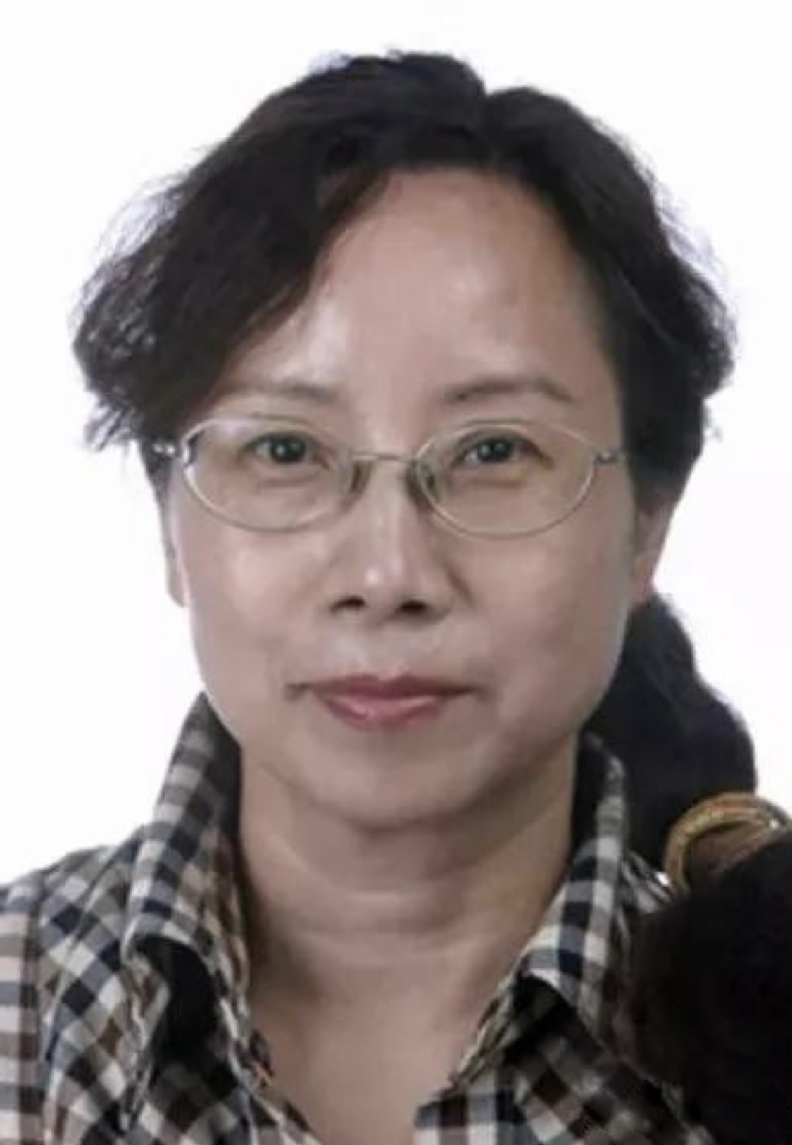 画家齐鹏作品在卢浮宫2023国际艺术联创联展中获奖并被收藏