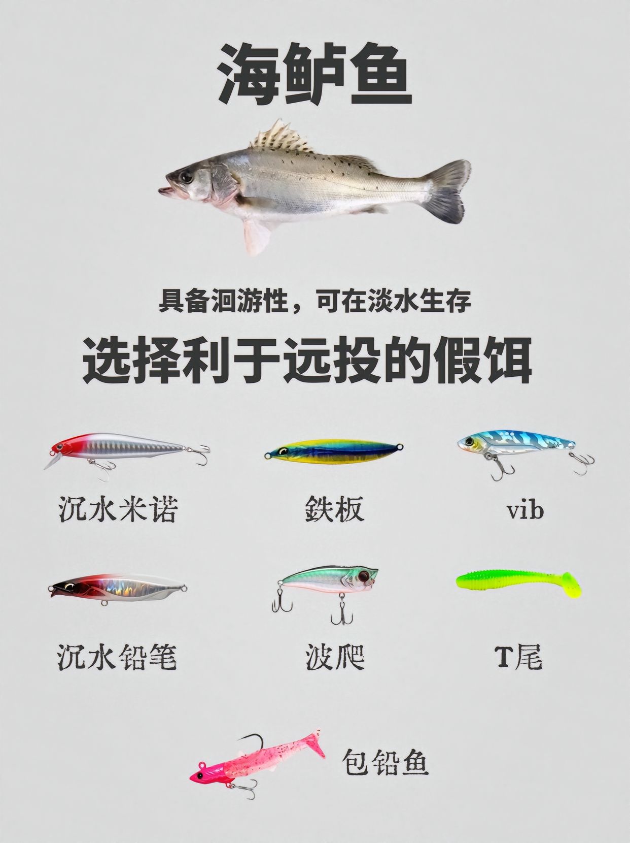 常见路亚淡水目标鱼的习性及假饵推荐!路亚新手必修课!