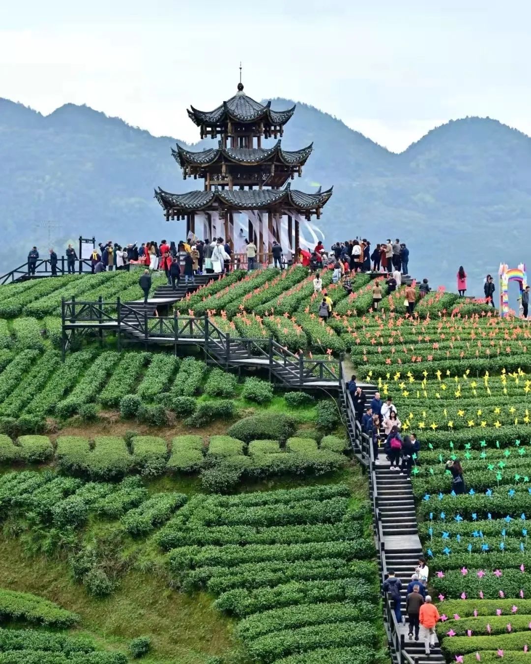 五一旅游指南丨春来茶山千行绿陆羽会邀您共赴湖北茶旅之约