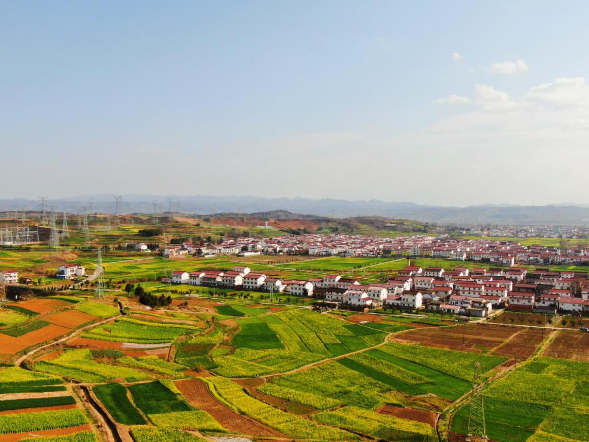 百万亩油菜花竞相绽放|2024最美油菜花海汉中旅游文化节启动