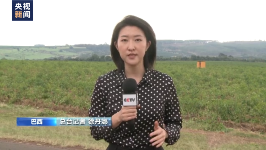 总台记者观察丨巴西粮食遭减产威胁 粮价持续攀高