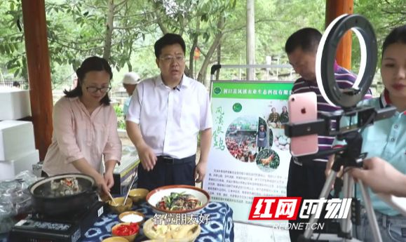 湖南洞口县委副书记贺朝晖直播带货 三位一体巩固扶贫成效