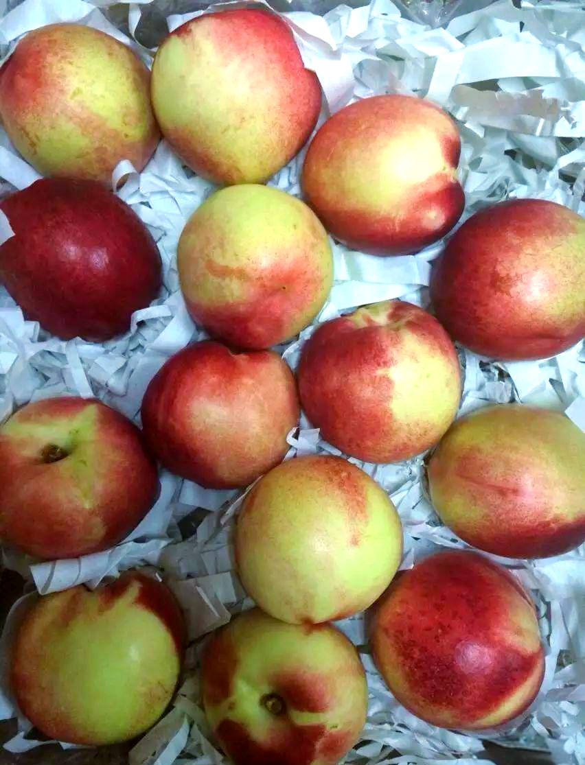 桃驳李:口感独特,营养丰富的澳洲进口水果