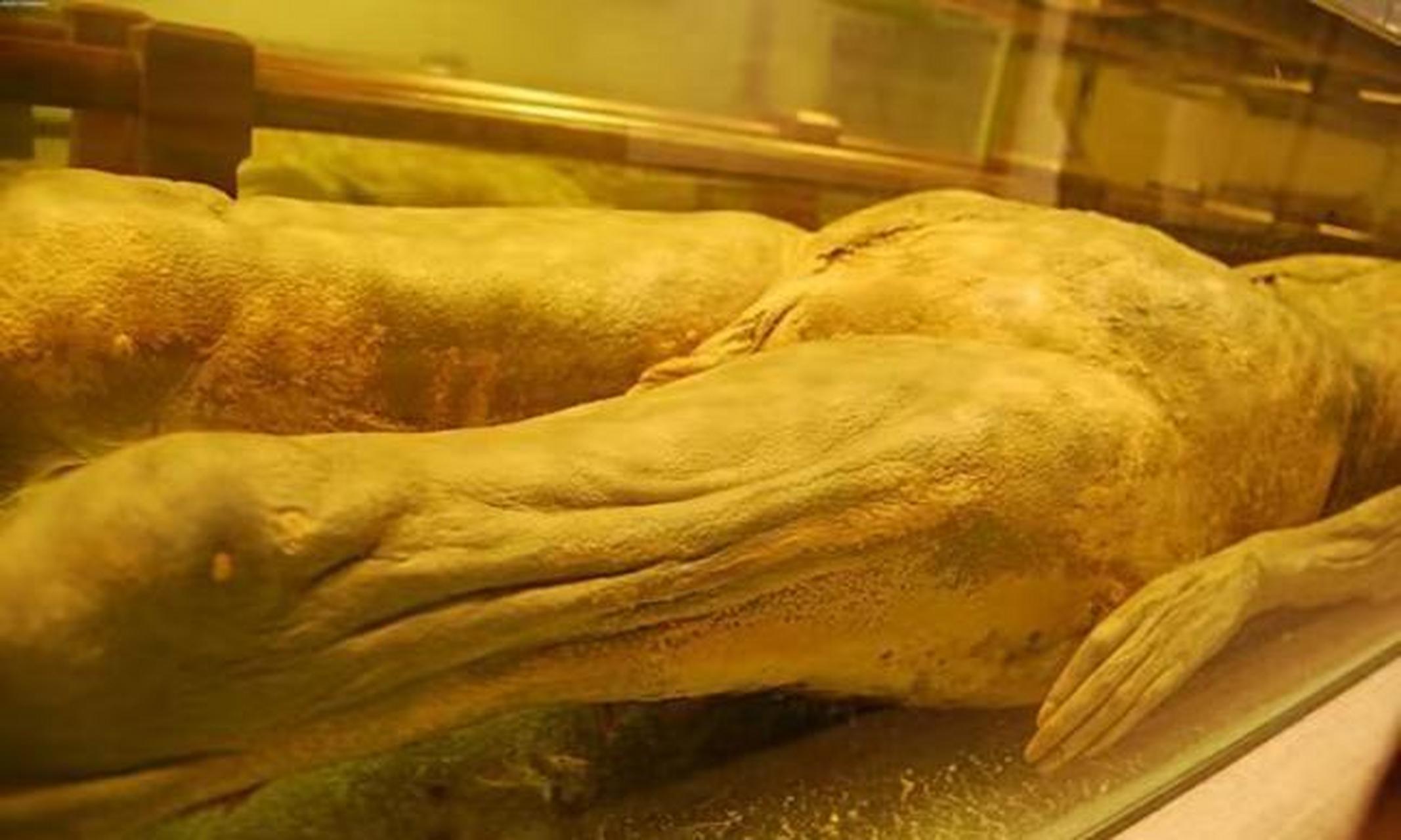 1986年7月,福州市 鼓楼区,出土了两具不腐古尸,尸体虽然保存完好,但