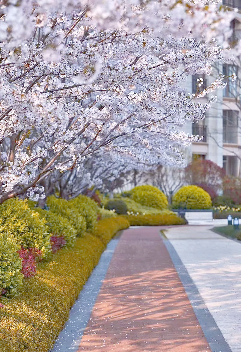 在KTV里被弄到了，在 KTV 里被了深夜狂欢引发围观，现场混乱导致多人受伤，警方迅速介入展开调查，事件细节曝光引发全网关注。