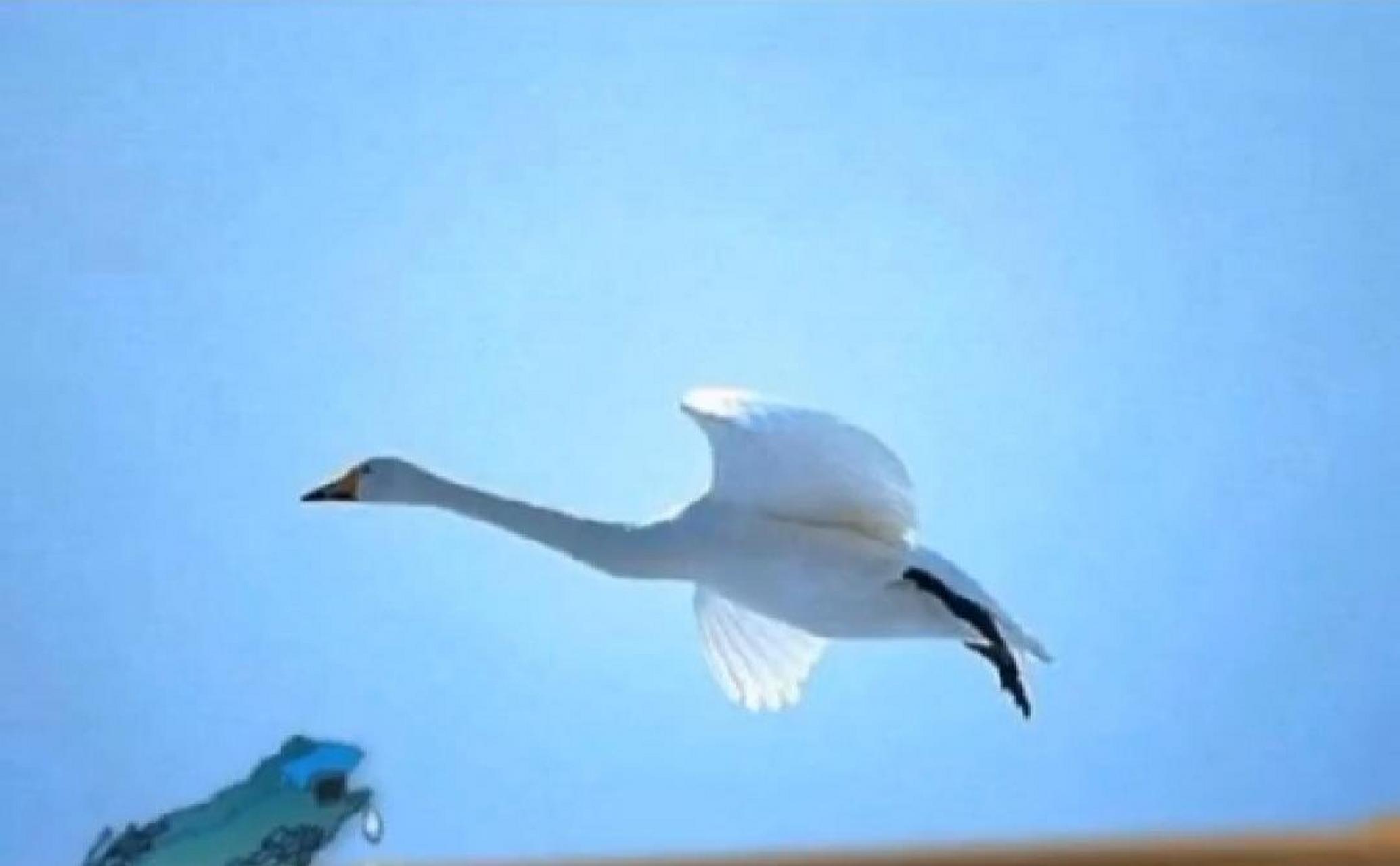 加你没别的意思