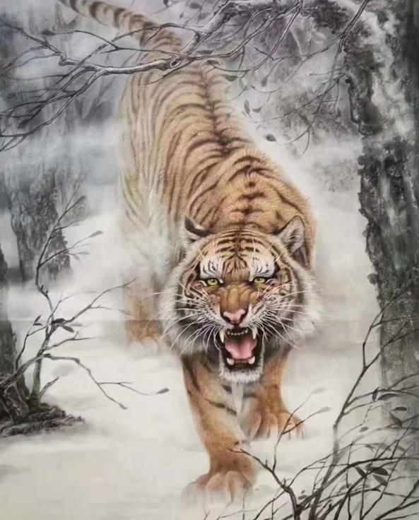 虎年中哪个生肖会虎力全开?为啥说"黑虎缓步来,龙凤马驮财"?