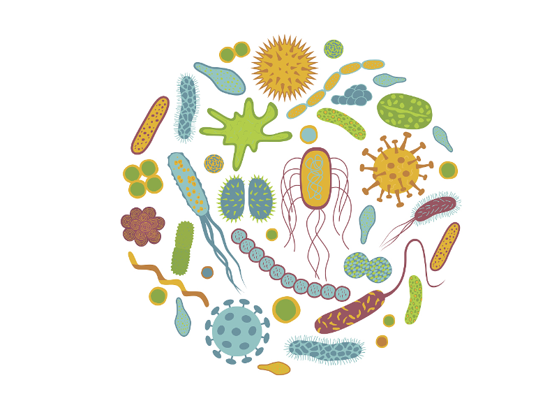 一,病原微生物采集